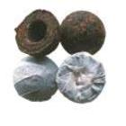 Pu-er Tuo Cha from The Tao of Tea