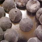 Mini Tou-Cha from Merkaba