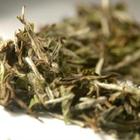 Honeydew from Teas Etc