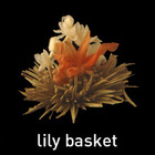 Lily Basket from Teas Etc