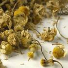 Chamomile Flower from Teas Etc
