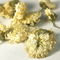 Chrysanthemum from Teas Etc