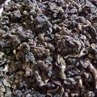 Quangzhou Milk Oolong from Merkaba