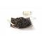 Eastern Beauty from Teavana