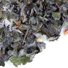 Applemint from TeaGschwendner
