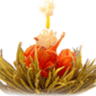 Fairy Lily from Primula Tea