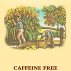 Sweet and Spicy from Good Earth Teas