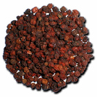 Five Taste from Puripan