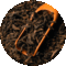 Da Hong Pao ("Ancient Oolong") from T Salon