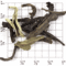 Lapsang Souchong Black Dragon (ZS90) from Upton Tea Imports