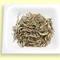 Organic Ancient Snow Sprout from Great Lakes Tea and Spice