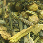 Mentalitea from Remedy Teas