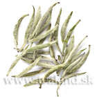 Bai Hao Yin Zhen Tradicional from Tealand.sk