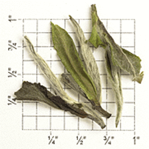 Wang Fu Jing Hao (ZW86) from Upton Tea Imports