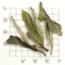 Wang Fu Jing Hao (ZW86) from Upton Tea Imports