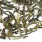 Nepal First Flush from Adagio Teas