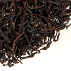 Nilgiri Blue Mountain from TeaGschwendner