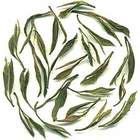 Huoshan Huang Ya from Imperial Tea Court