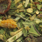 Relief from Remedy Teas