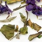 White Blueberry from Zhi Tea