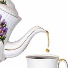 Wu Yi Ensemble from Adagio Teas