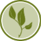 Organic Feel Flawless from Allegro