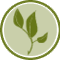 Organic Feel Flawless from Allegro