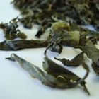 Emerald Green from Fresh Darjeeling Tea
