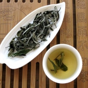 White Peony King from Shang Tea