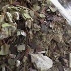 Matejuana from Townshend's Tea Company