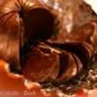 Orange Chocolate - Dark from Adagio Teas