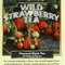 Wild Strawberry from Metropolitan Tea Company