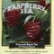 Raspberry from Metropolitan Tea Company