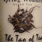 Spring Wonder Green Tea from The Tao of Tea