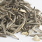 Jasmine Silver Tip Tea from Rare Tea Company
