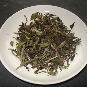 Pai Mu Tan from The Amber Rose Tea Company
