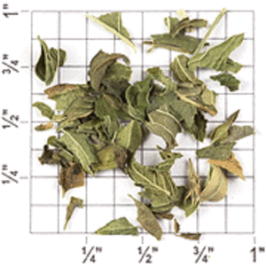 Spearmint from Upton Tea Imports