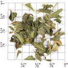Spearmint from Upton Tea Imports