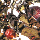 Orange Red Beauty from The Tea Set