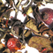 Orange Red Beauty from The Tea Set