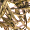 Luxurious Silver Needles White from The Tea Set