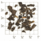 China Pu-Erh Leaf from Upton Tea Imports