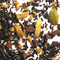 Fancy Indian Masala from The Tea Set