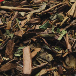 Thin Mint Green from The Tea Spot