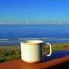 Absolutely Bold Morning Brew from Custom-Adagio Teas