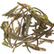 Lemon White from EnjoyingTea.com