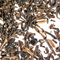 Finest Vietnam Dream from The Tea Set