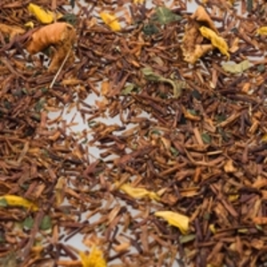 Pumpkin Cream Rooibos from Premium Steap
