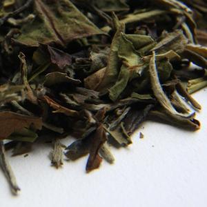 White Mu Dan Peony from Earthbound Tea