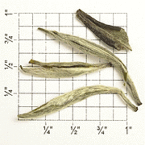 Organic China White Paklum Tips (ZW97) from Upton Tea Imports